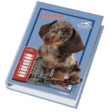 Raccoglitore ad anelli Blasetti - 4 anelli D30 - 26x32 cm per fogli A4 - fantasie assortite Cuccioli - 4170