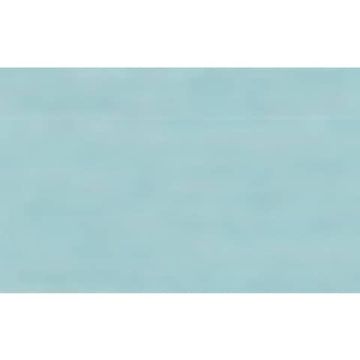 Carta velina Rex-Sadoch 50x70 cm conf. da 26 ff celeste KV106-360