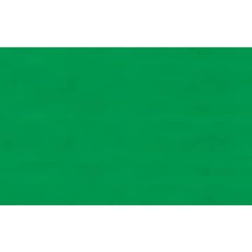Carta velina Rex-Sadoch 50x70 cm conf. da 26 ff verde prato KV106-472