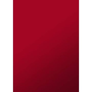 Copertine per la rilegatura Sei Rota Video ROC formato A4 colore rosso 52142812