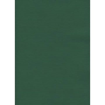 Carta regalo in fogli Rex-Sadoch formato 70x100 cm - colore verde 163 -12