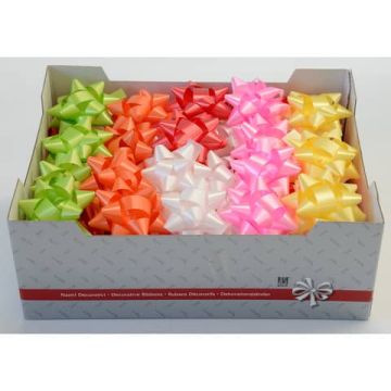 Stella splendente Everyday Bolis colori assortiti formato 90 mm 56011972249
