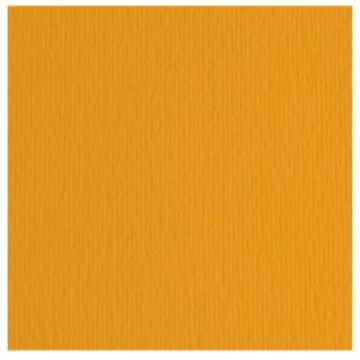 Cartoncino colorato Fabriano Elle Erre 70x100 cm 220 g conf. 10 fogli - aragosta - 46470126