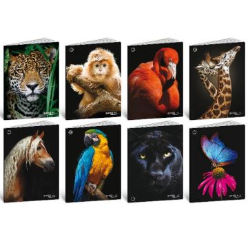 Maxi quaderni Blasetti Animali formato A4 carta 100 g conf. 10 pezzi rigatura 10 mm - 8631