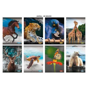 Maxi quaderni Blasetti Animali formato A4 carta 80 g conf. 10 pezzi rigatura 10 mm - 8580