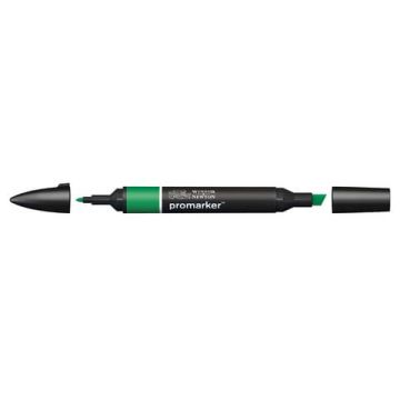 Pennarelli doppia punta Winsor&Newton lush green - 0203228