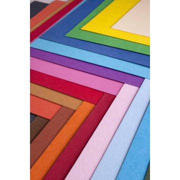 Cartoncino colorato Fabriano Elle Erre 50x70 cm 220 g conf. 20 fogli - cedro - 42450725