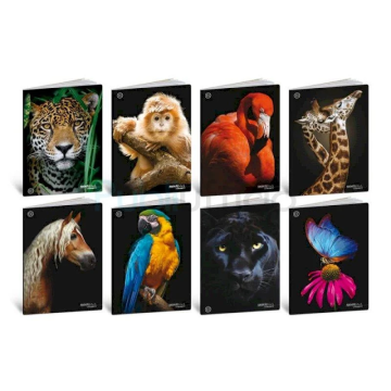 Maxi quaderni Blasetti Animali formato A4 carta 100 g conf. 10 pezzi rigatura 1R - 8632