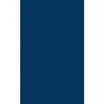 Carta regalo in fogli Rex-Sadoch formato 70x100 cm - colore blu 162 -12