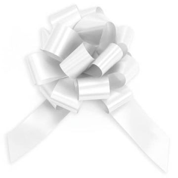 Fiocco nastro Bolis colore bianco - 30 mm 56013063009 -15