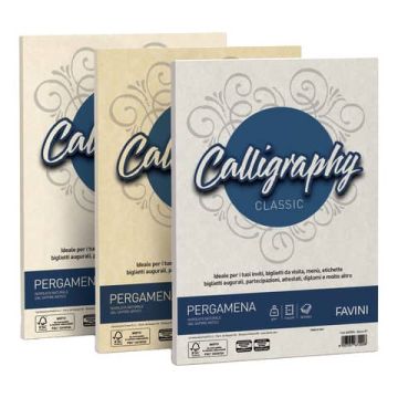 Carta pergamena FAVINI Calligraphy per lettere da stampare, finitura liscia 90 g/m² A4 sabbia 02 50 fogli - A69U204