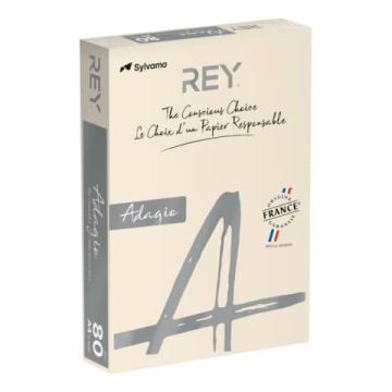 Carta colorata A4 International Paper Rey Adagio 80 g/m² avorio 93 - Risma da 500 fogli - ADAGI080X633