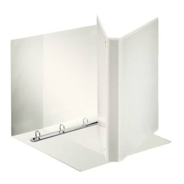 ESSELTE RACCOGLITORE DISPLAY PERS. 20MM BI