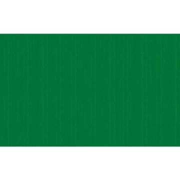 Carta crespa colorata Rex-Sadoch in rotolo 50x150 cm verde primario KR363-470