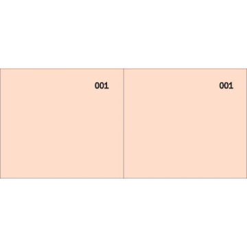 Scontrino colorato a 2 sezioni Data Ufficio blocco 100 copie prenumerate rosso - DU160000020