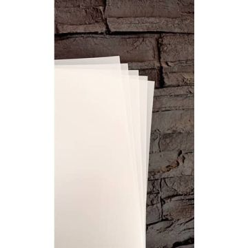 Fogli per stampe in backlit poliestere alta qualità per stampanti laser - Conf. 100 ff Tecnostyl formato A4 EPPA4-O140my