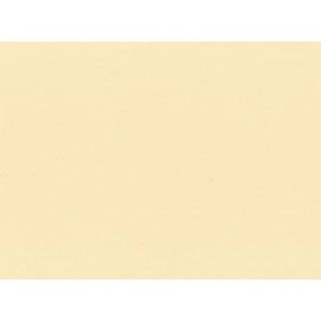 Tovagliette monouso Le Nappage in carta paglia 30x40 cm crema - conf. 500 pz - EYTVT1130