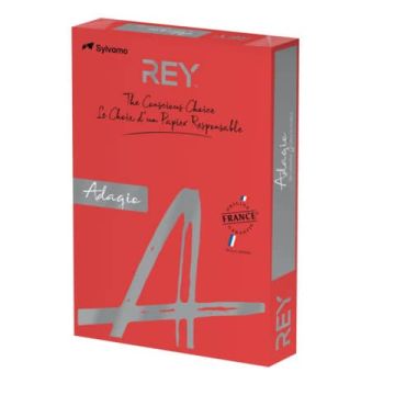 Carta colorata A4 International Paper Rey Adagio 160 g/m² rosso intenso 22 - Risma da 250 fogli - ADAGI160X462
