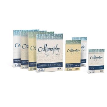 Carta pergamena FAVINI Calligraphy per lettere da stampare, finitura liscia 190 g/m A4 crema 05  50 fogli - A692084