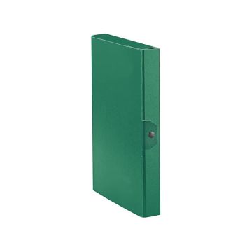 Cartelle portaprogetti Esselte C24 EUROBOX dorso 4 cm presspan biverniciato verde - 390324180