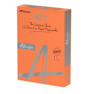 Carta colorata A4 International Paper Rey Adagio 160 g/m² arancio 21 - Risma da 250 fogli - ADAGI160X467