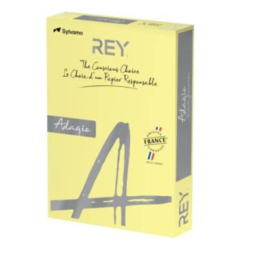 Carta colorata A4 International Paper Rey Adagio 160 g/m² giallo canarino 03 - Risma da 250 fogli - ADAGI160X473