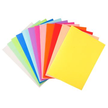 EXACOMPTA 100 CARTELLINE SEMPLICI 220gr 24x32cm MIX 5 COLORI FOLDYNE