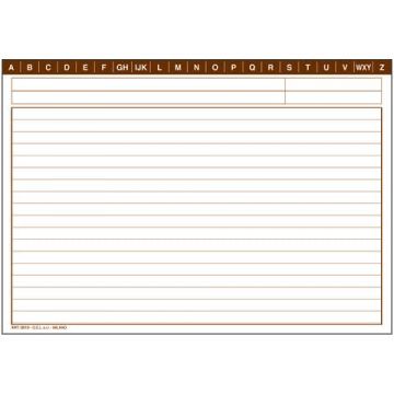 Schede rigate O.C.L. formato 21x14,8 cm - 0819