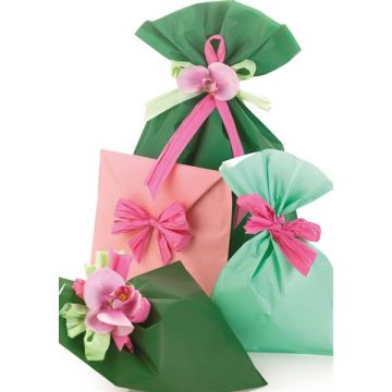 Busta regalo Mat Pearly B - 25 x 40 cm - 40 micron - PPL - assortimento 5 colori - PNP - conf. 100 pezzi