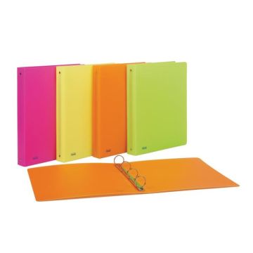 Raccoglitore PPL 22x30mm 4R dorso 30 colori assortiti neon Favorit (cfz 10)