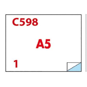 Etichette bianche Copiatabu C598 laser/inkjet 2 et./foglio - conf. 100 ff Markin 210x148,5 mm - X210C598