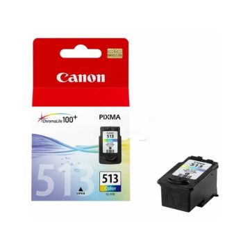 Cartuccia inkjet alta resa CL-513 Canon colore 2971B001