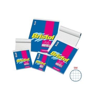 Blocco punto metallico Blasetti BRISTOL copertina patinata 115 gr 50 g/m² Q 5M A5 15X21cm - 1028