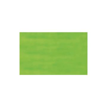 Carta velina Rex-Sadoch 50x70 cm conf. da 26 ff verde chiaro KV106-371