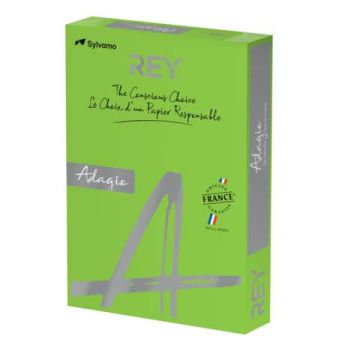 Carta colorata A3 International Paper Rey Adagio 80 g/m² verde intenso 52 - Risma da 500 fogli - ADAGI080X682