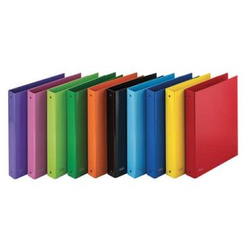 FAVORIT RACCOGL. SPRINT 22X30 ASSORTI