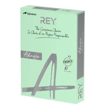 Carta colorata A4 International Paper Rey Adagio 160 g/m² verde - Risma da 250 fogli - ADAGI160X456
