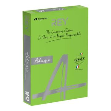 Carta colorata A4 International Paper Rey Adagio 80 g/m² verde intenso - Risma da 500 fogli - ADAGI080X650